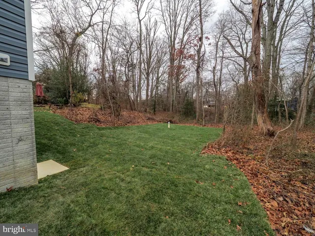 a view of a backyard with large trees