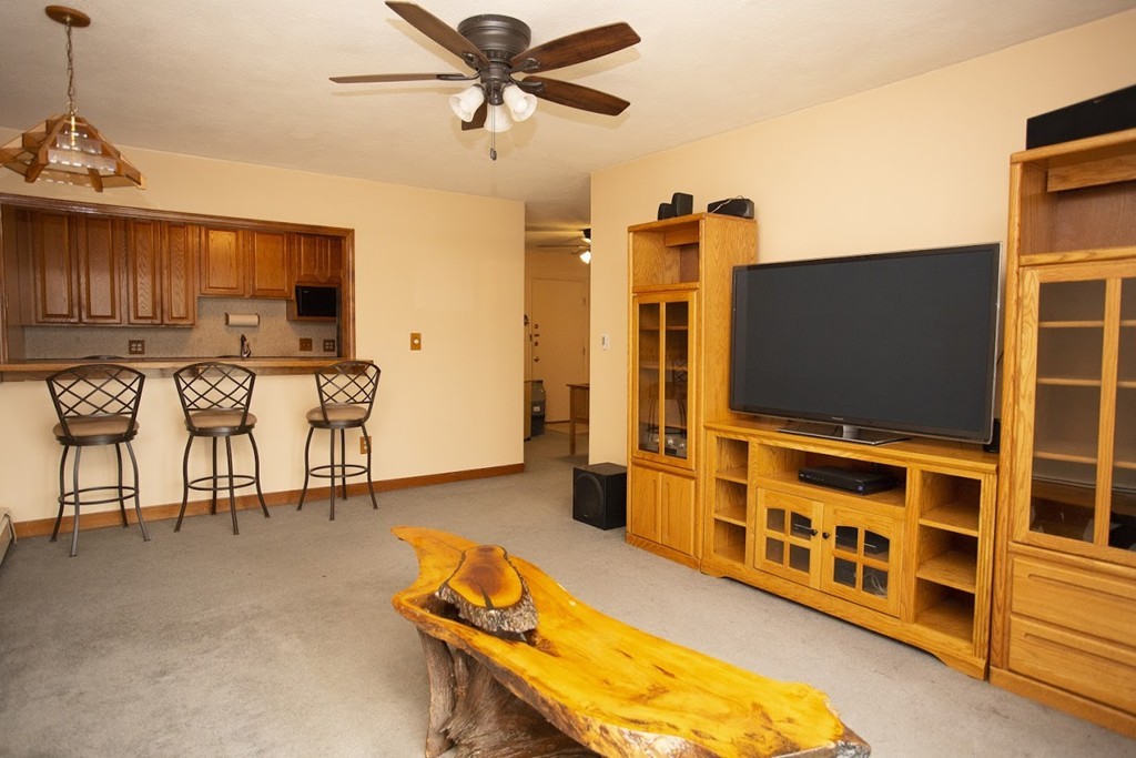 74 Springvale Avenue, Unit 19 Chelsea, MA 02150 - Photo 4 of 14 Gallery Image 4