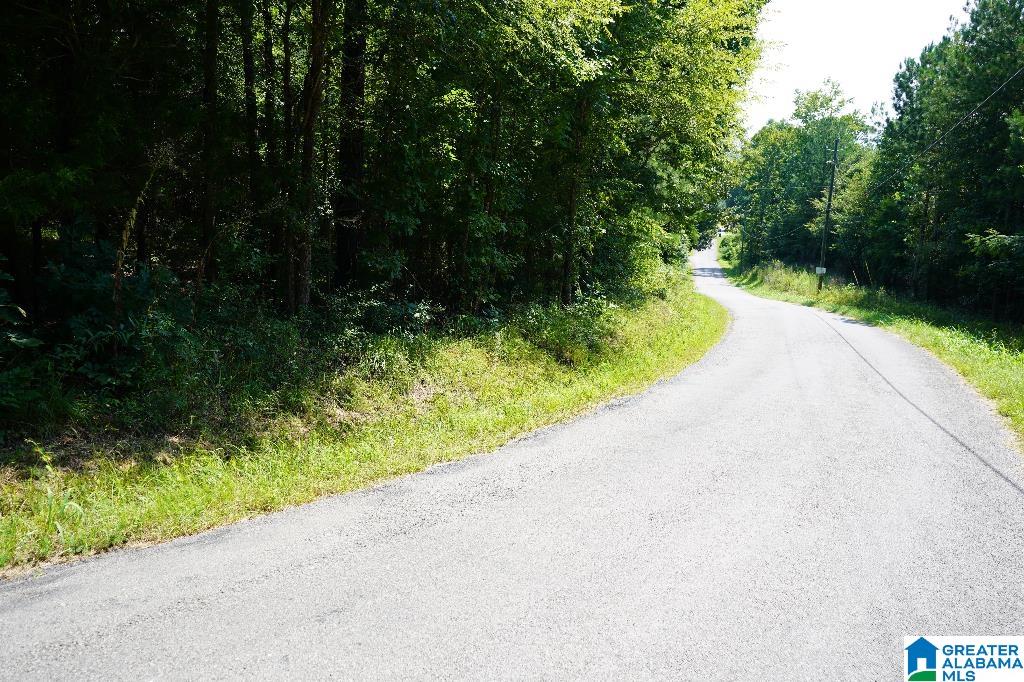 0 Tawbush Road, Unit 16 Trafford, AL 35172 - Photo 5 of 11