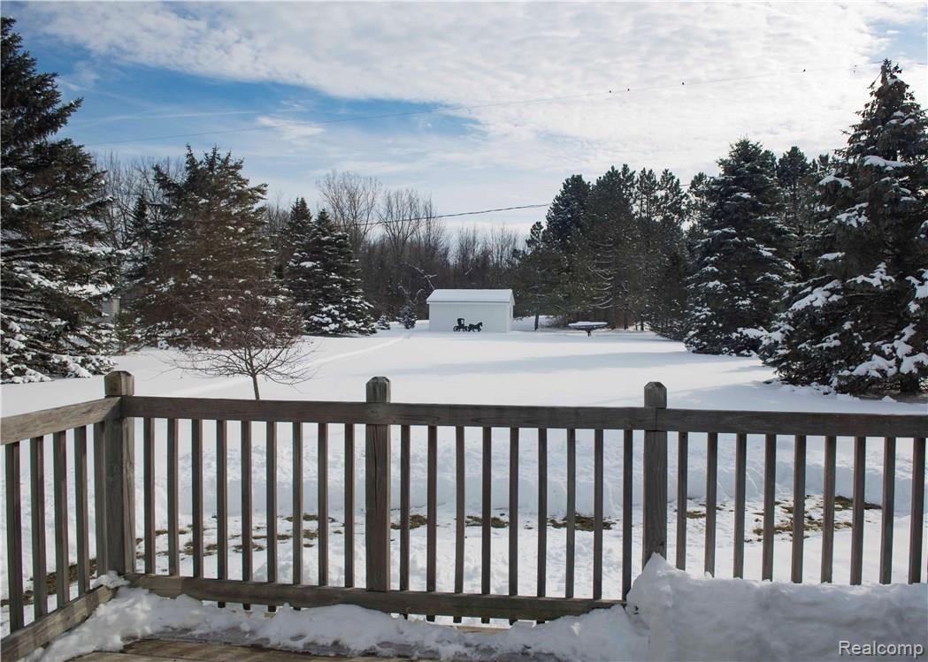 Backyard.jpg