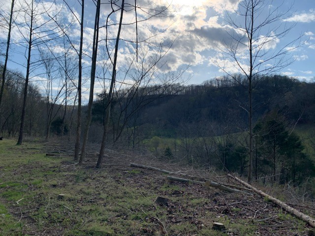 662 Wilmore Hollow Road Pleasant Shade, TN 37145 - Photo 14 of 19 a backyard of a house with lots of green space