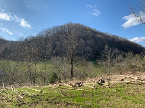 662 Wilmore Hollow Road Pleasant Shade, TN 37145 - Photo 15 of 19 a view of a lake view