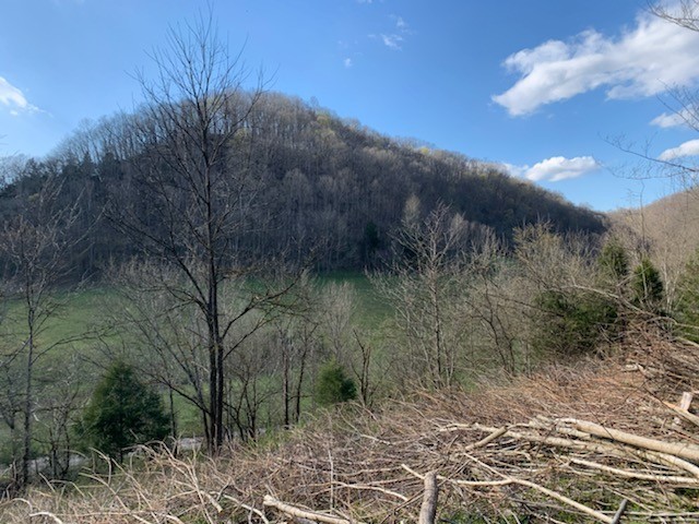 662 Wilmore Hollow Road Pleasant Shade, TN 37145 - Photo 16 of 19 a view of a street with a yard