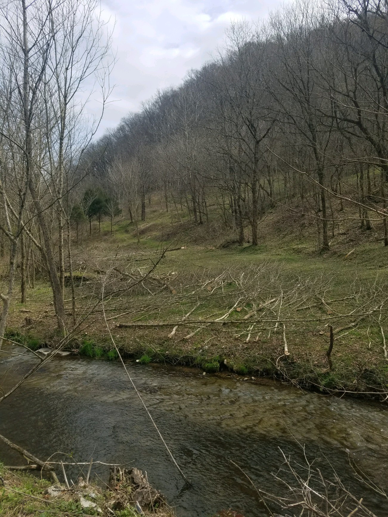 662 Wilmore Hollow Road Pleasant Shade, TN 37145 - Photo 18 of 19 a view of outdoor space