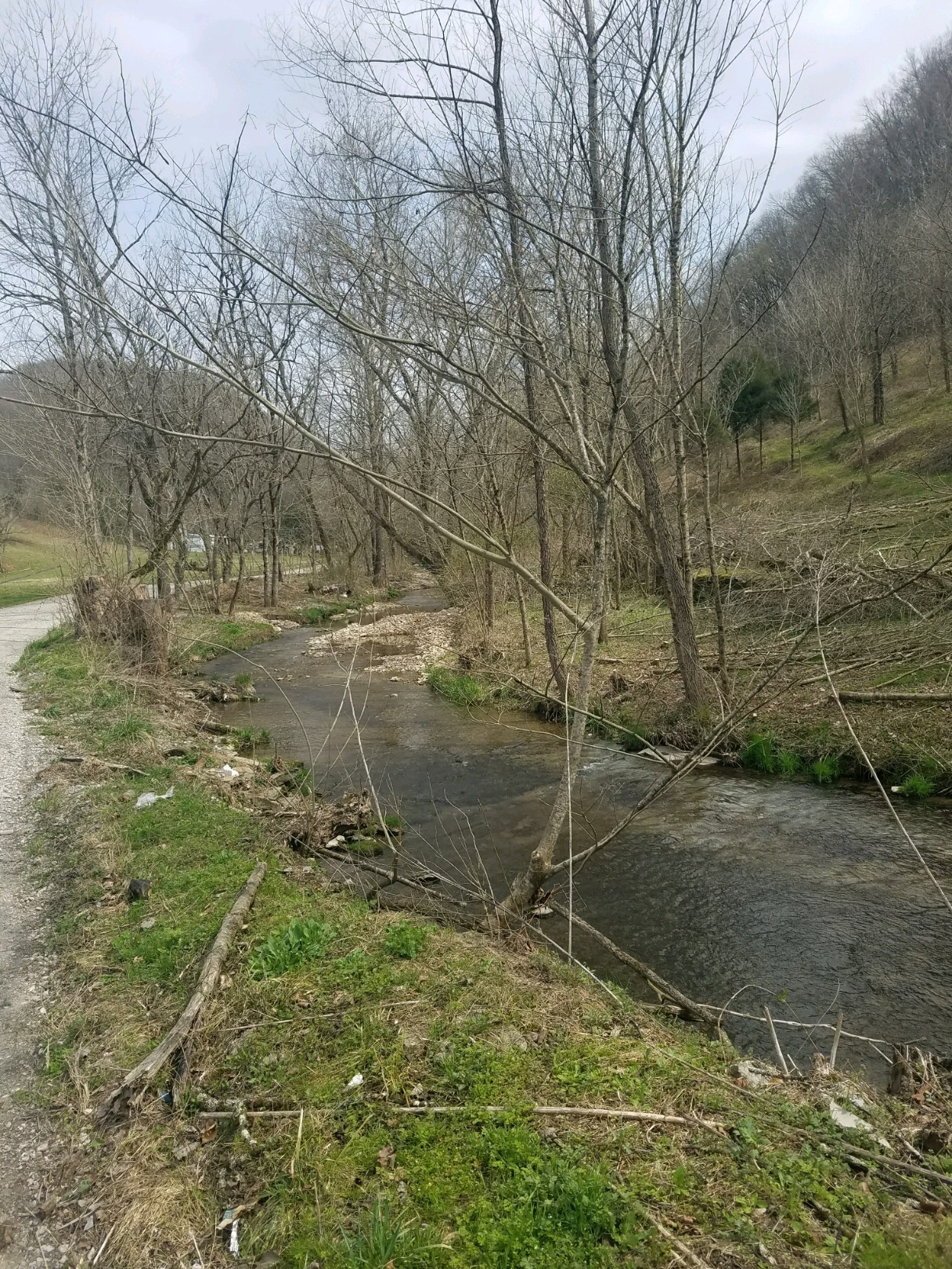 662 Wilmore Hollow Road Pleasant Shade, TN 37145 - Photo 19 of 19 a backyard of a building