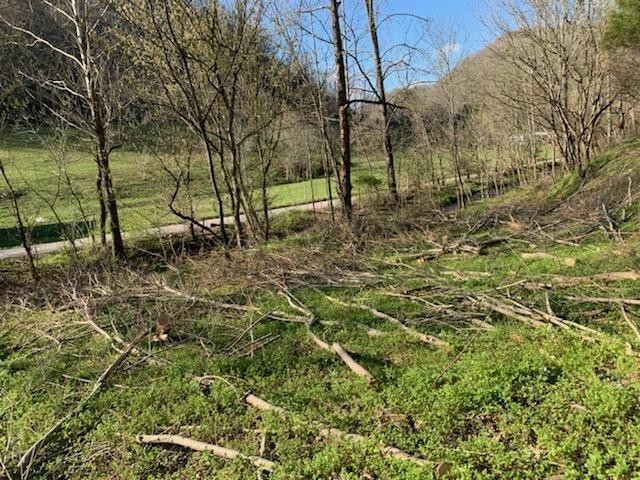 662 Wilmore Hollow Road Pleasant Shade, TN 37145 - Photo 4 of 19 a view of a yard with large trees
