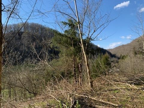 662 Wilmore Hollow Road Pleasant Shade, TN 37145 - Photo 9 of 19 a view of a yard
