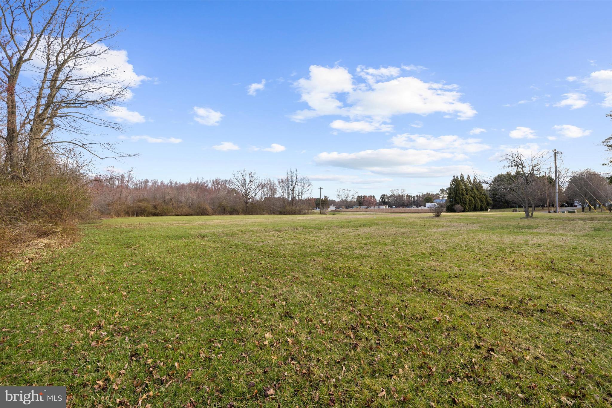 1517 Dudley Chance Road Millington, MD 21651 - Photo 38 of 40 a view of a lake