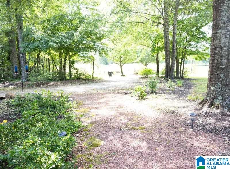 1081 County Road 684 Roanoke, AL 36274 - Photo 26 of 26