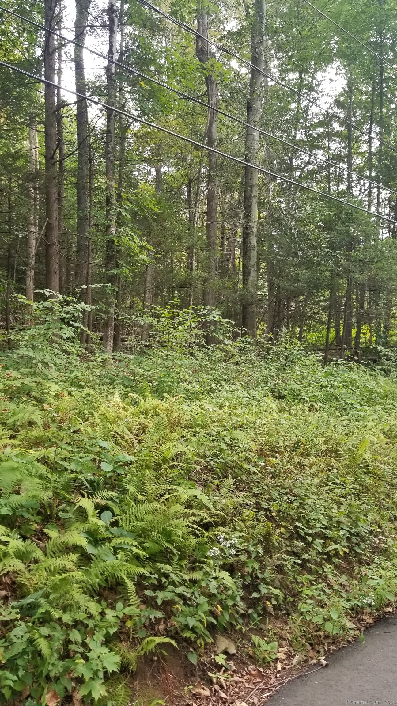 0 Stockburger Road Moodus, CT 06469 - Photo 2 of 4