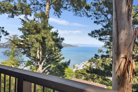 a view of a lot of flowers in a house