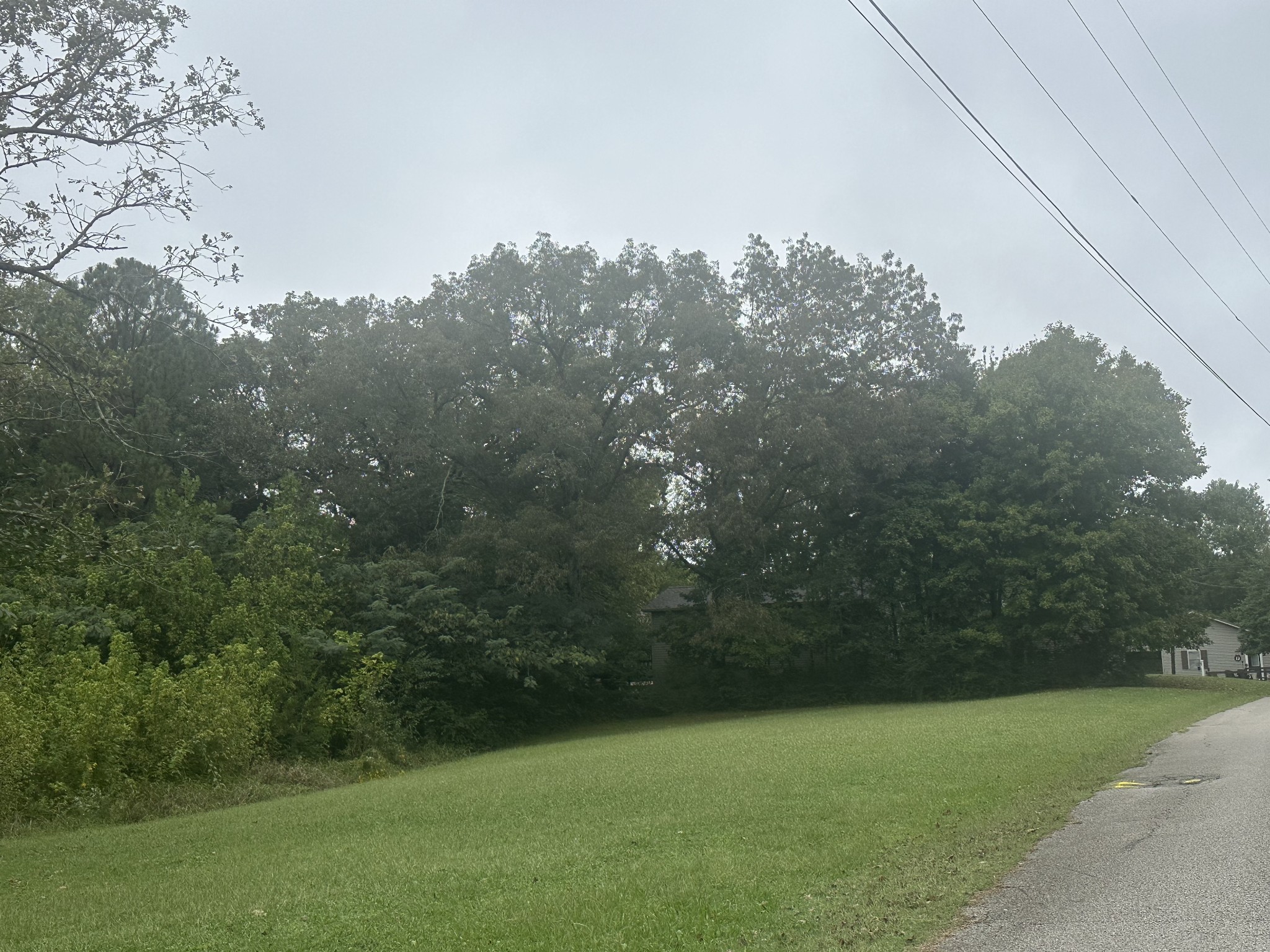 0 2nd Street Big Sandy, TN 38221 - Photo 1 of 1 a view of a field of grass and trees