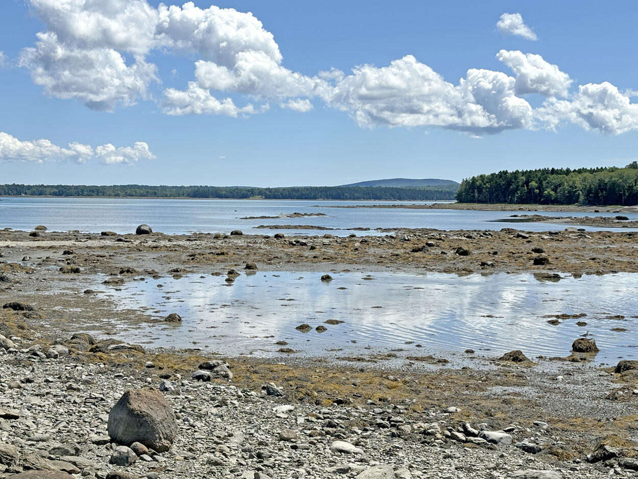 607 Oak Point Road Trenton, ME 04605 - Photo 169 of 187 Shorefront Low Tide (1)