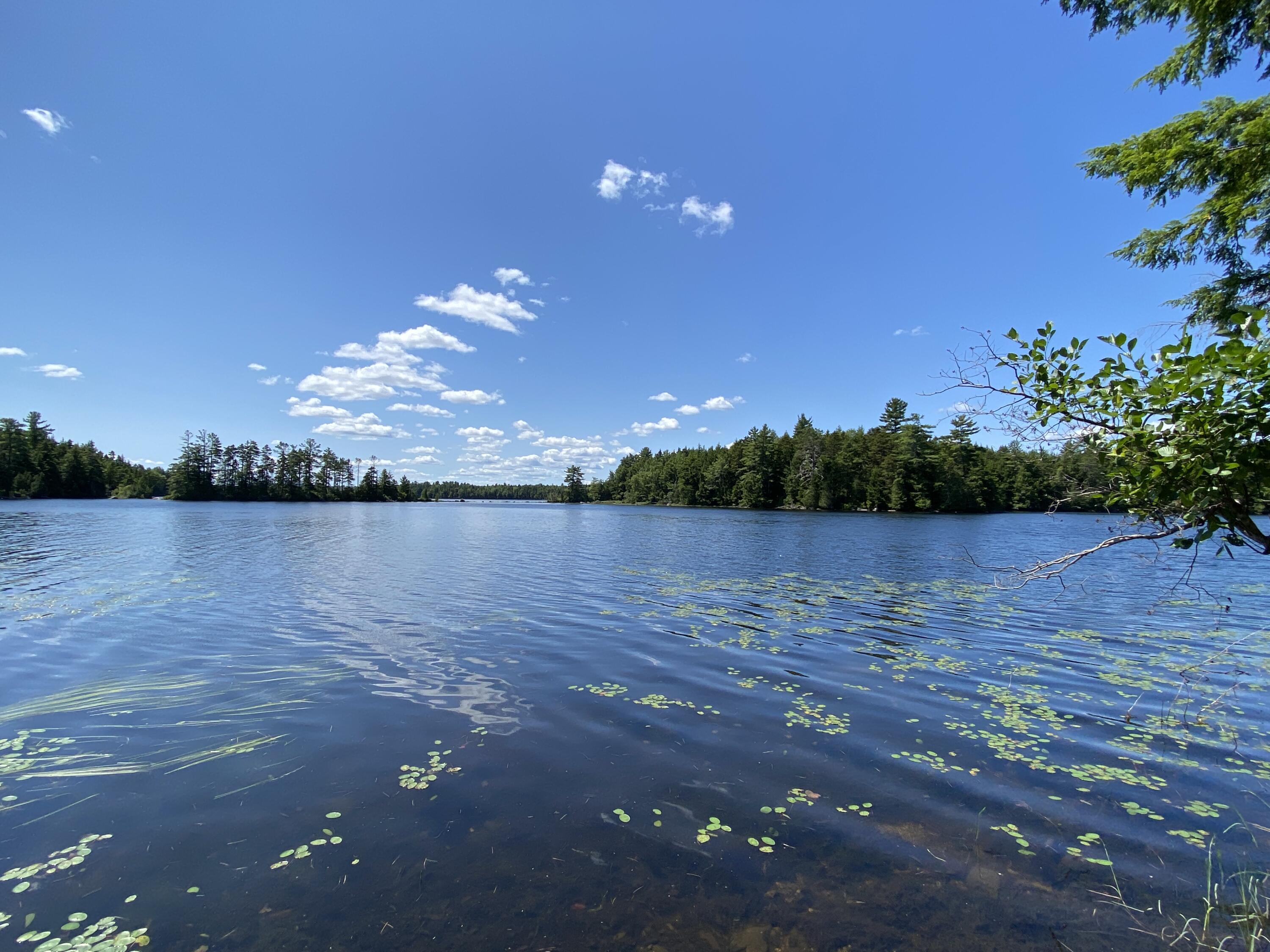Tbd Depot Road Lakeville, ME 04487 - Photo 23 of 56