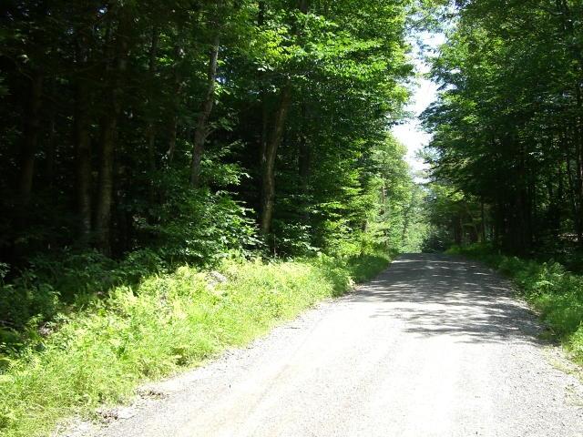 Lot 3 Giles Road Otis, MA 01253 - Photo 3 of 3 More Giles Rd. Frontage