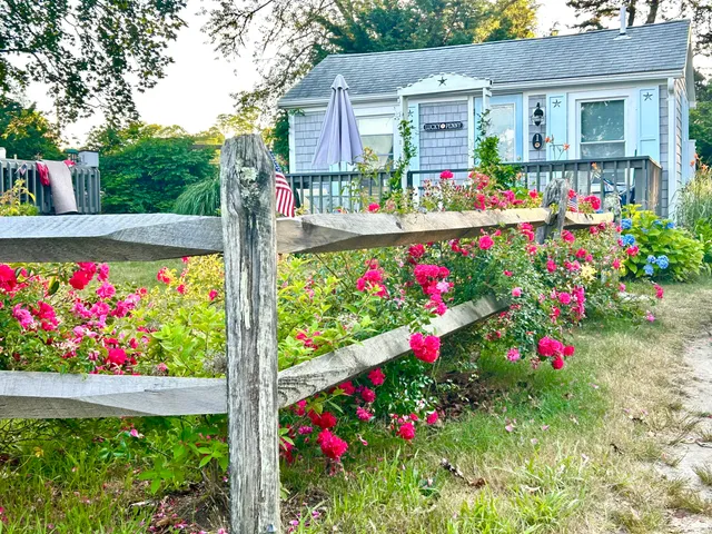 a view of a potted flower in a yard