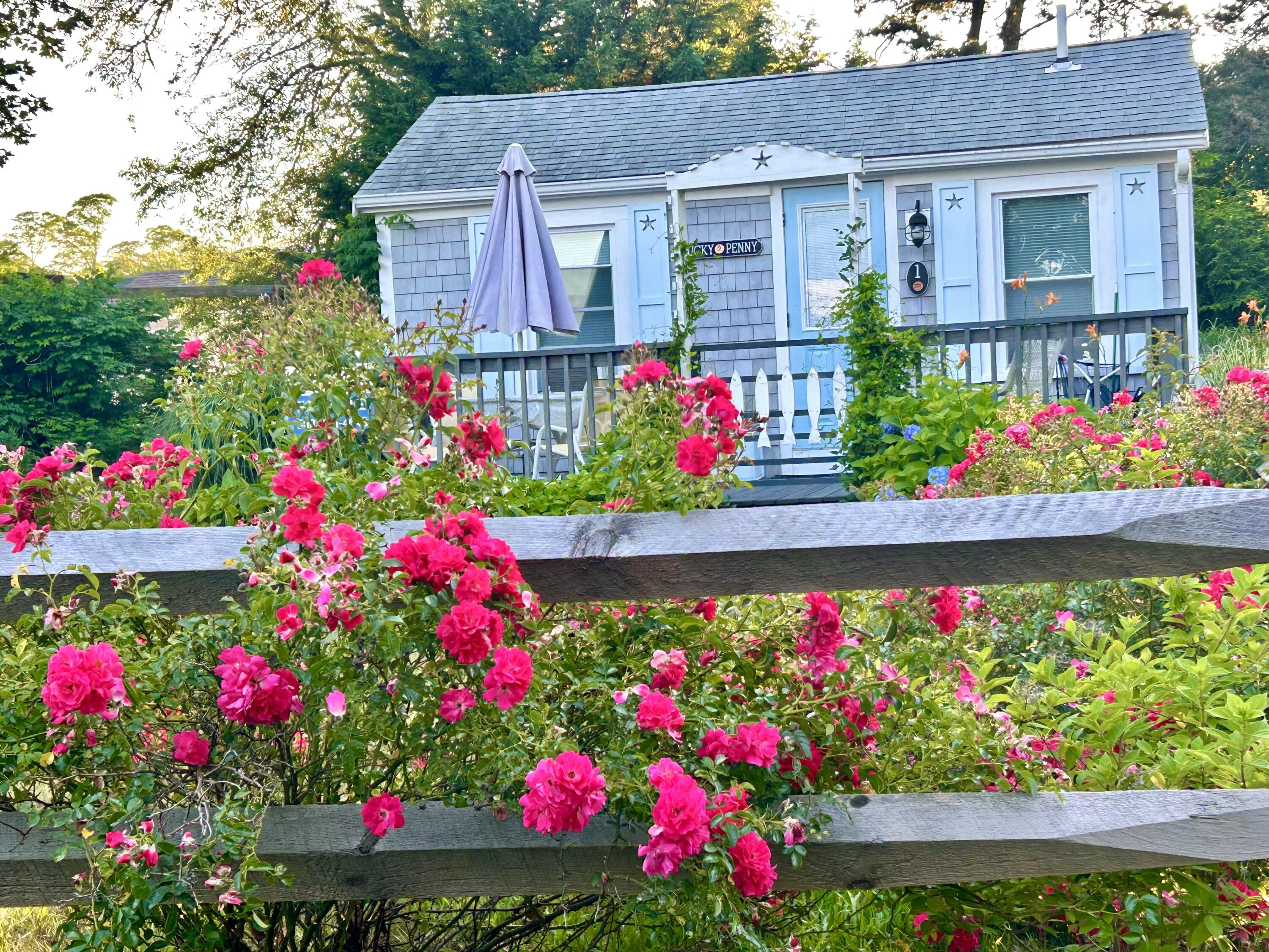 292 Route 28, Unit 1 Harwich, MA 02646 - Photo 2 of 29 a view of a potted flower in a yard