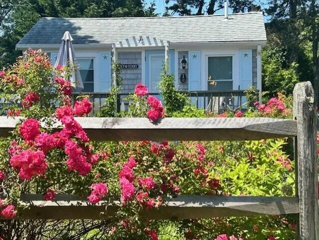 a view of a backyard with plants and flowers house
