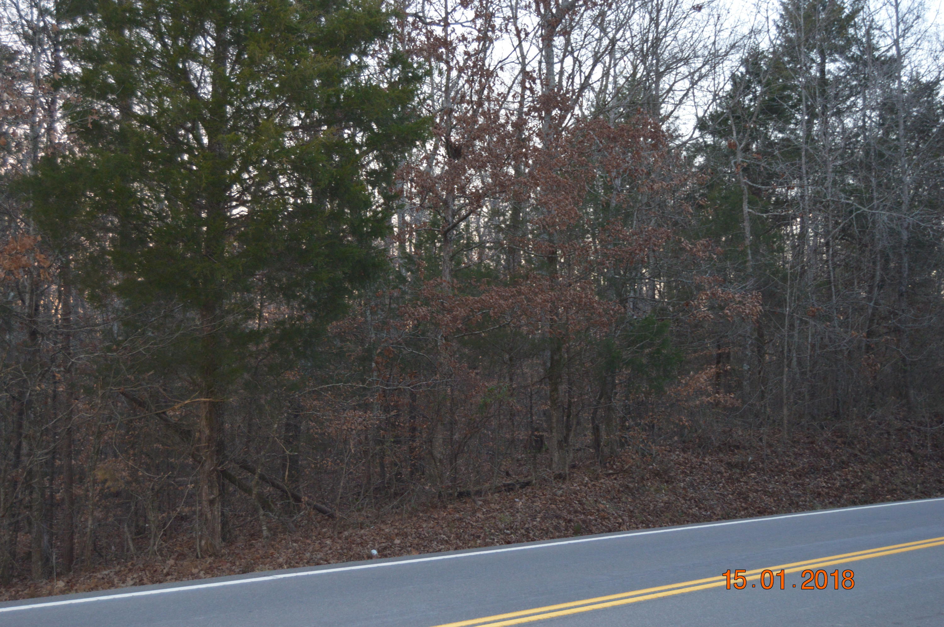 Brittsville Road Georgetown, TN 37336 - Photo 1 of 6 lois lynn