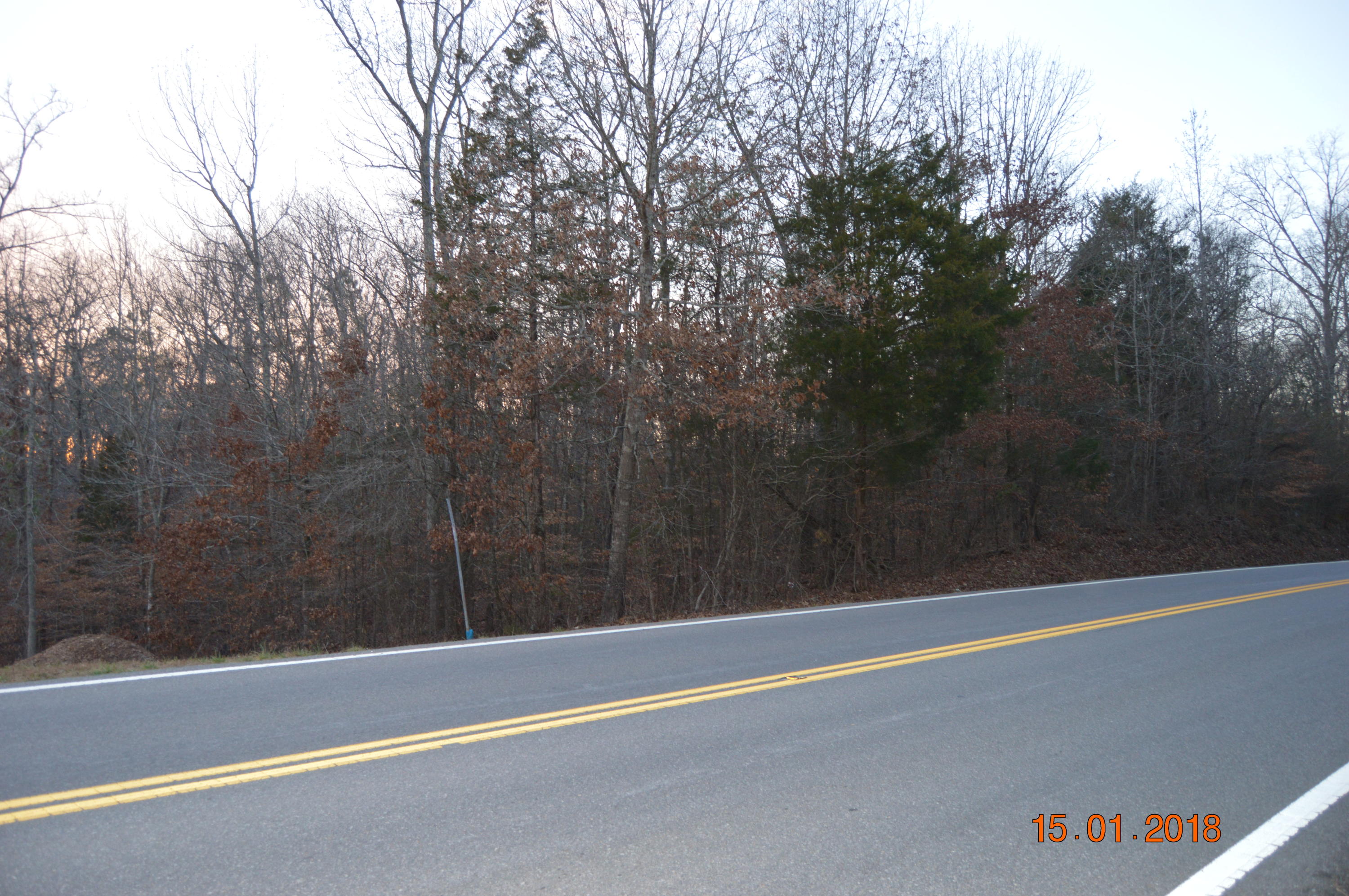 Brittsville Road Georgetown, TN 37336 - Photo 2 of 6 lois lynn (2)