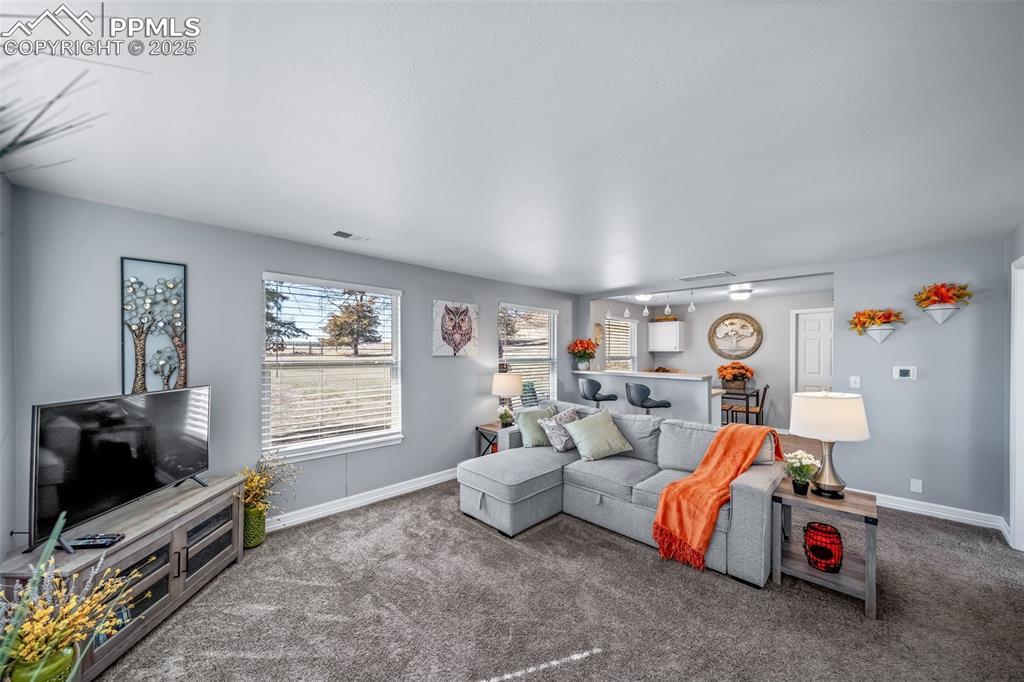 4586 East Best Road Larkspur, CO 80118 - Photo 43 of 50 Carpeted living room featuring baseboards