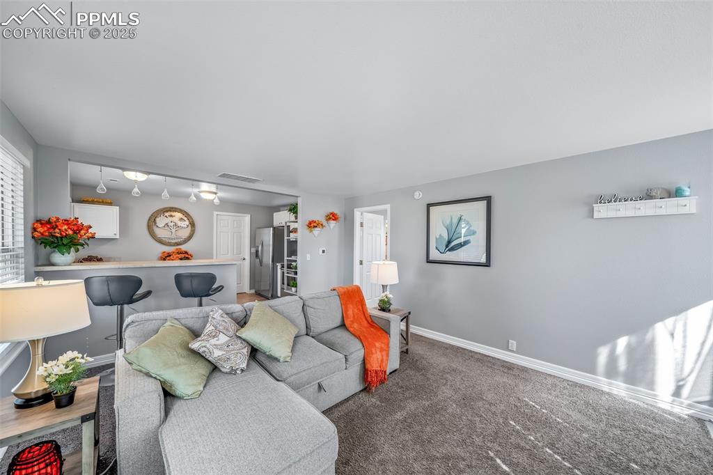 4586 East Best Road Larkspur, CO 80118 - Photo 44 of 50 Living room with baseboards and carpet