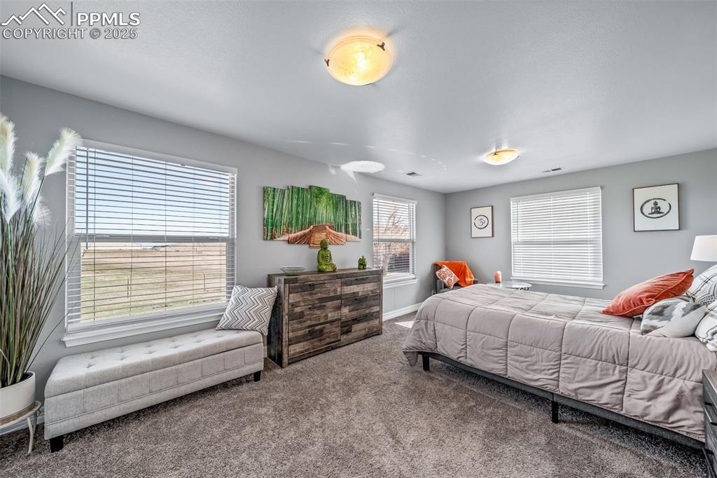 4586 East Best Road Larkspur, CO 80118 - Photo 47 of 50 Carpeted bedroom with baseboards