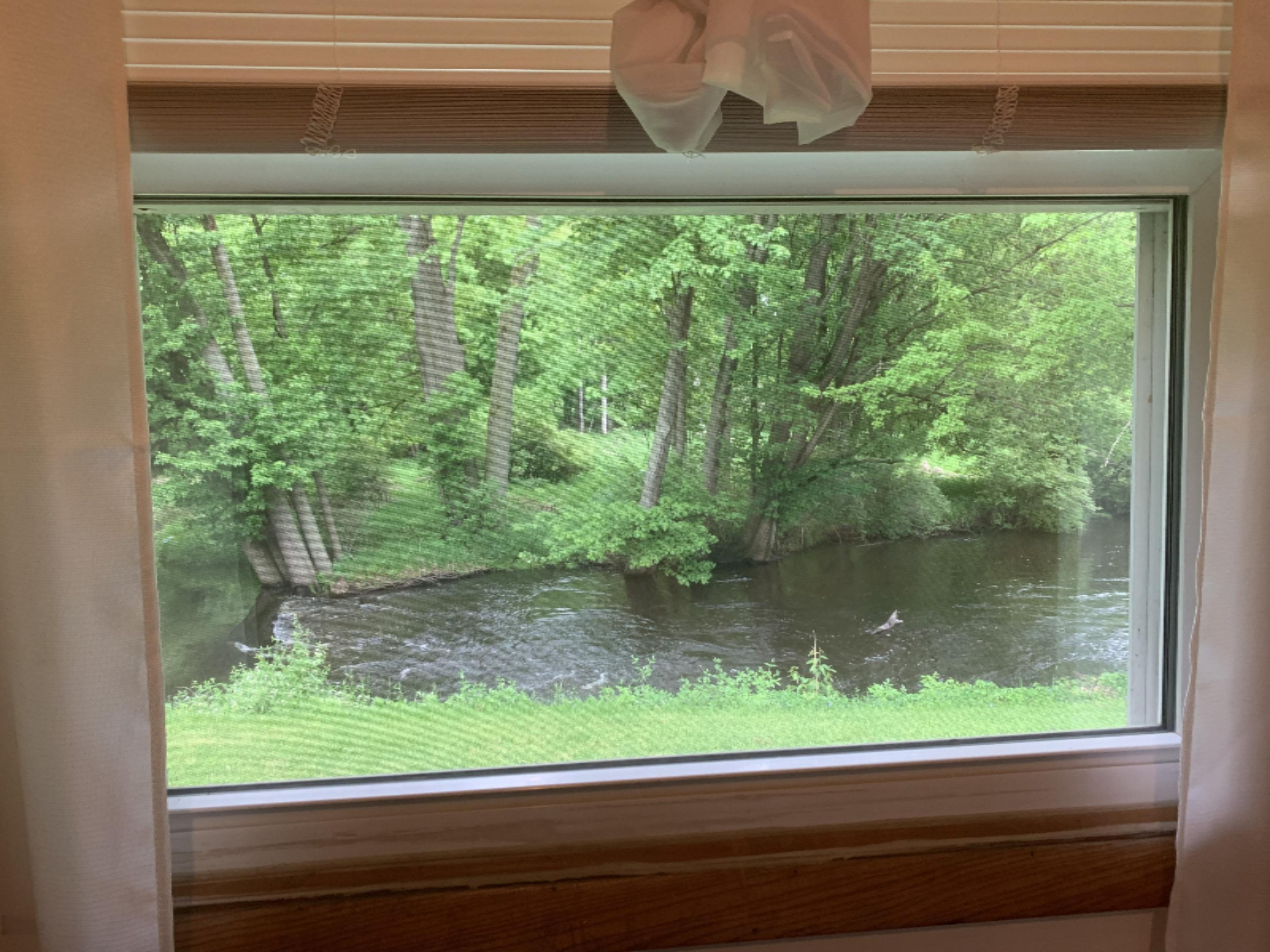 19060 Partello Road Marshall, MI 49068 - Photo 23 of 43 VIEW FROM BEDROOM 1