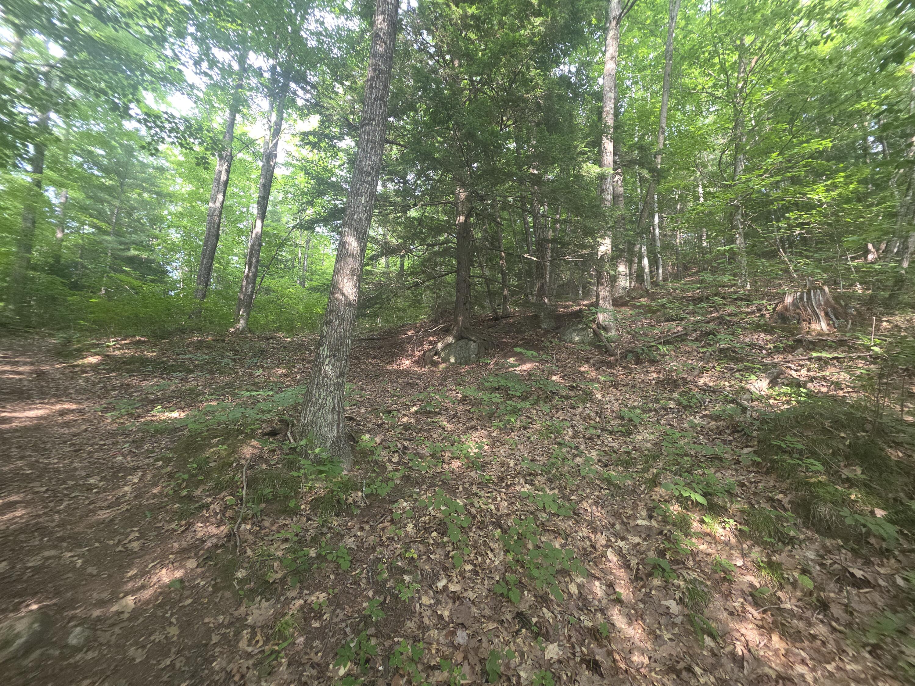 Lot 1-1a Madison Road Norridgewock, ME 04957 - Photo 9 of 24 10- LandPict5
