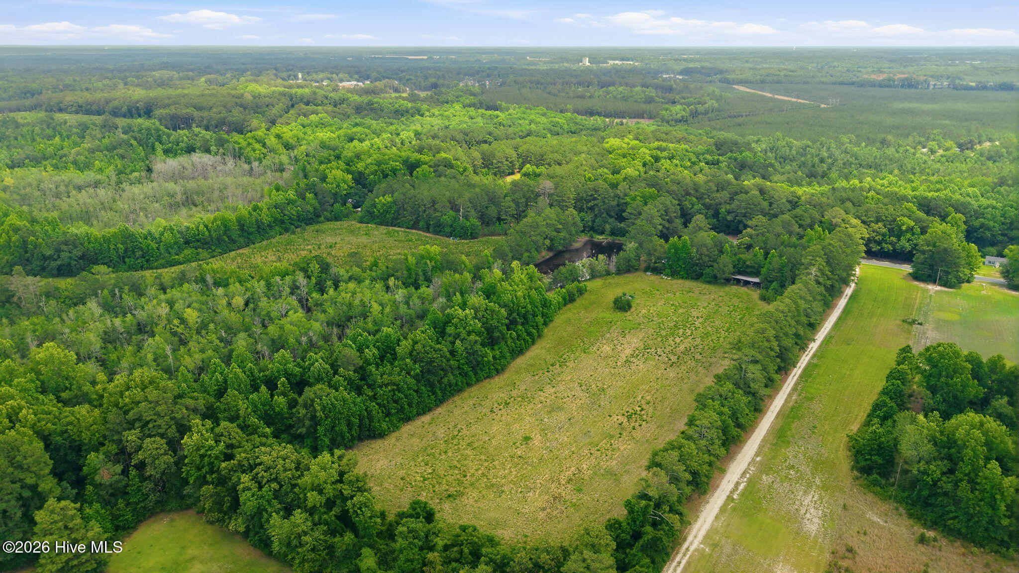 17060 St Johns Church Road Laurel Hill, NC 28351 - Photo 51 of 62