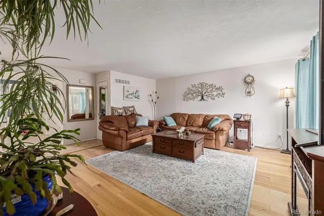 a living room with furniture and a potted plant
