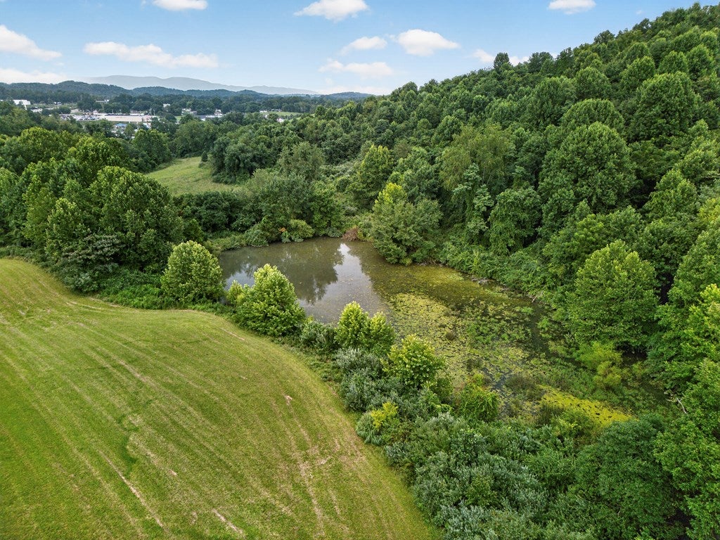 Tbd Walton Ridge Road Bristol, VA 24202 - Photo 24 of 60 Gallery Image 24