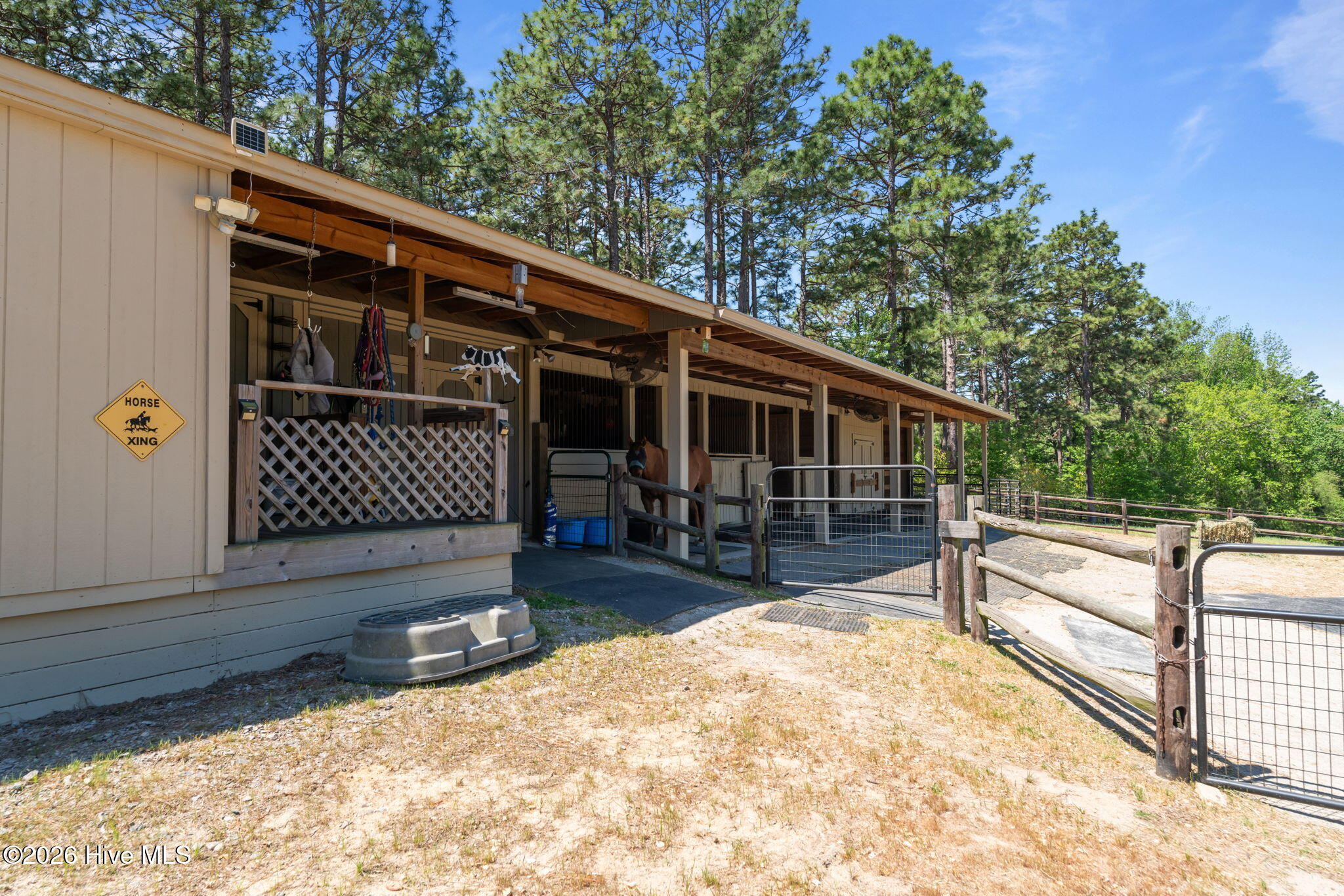 1650 Youngs Road Vass, NC 28394 - Photo 66 of 87 62-web-or-mls-DSC02371