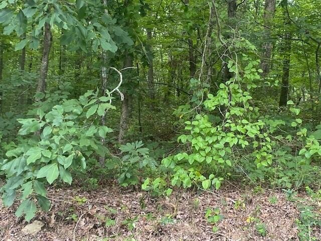 2800 Corral Road Signal Mountain, TN 37377 - Photo 3 of 4