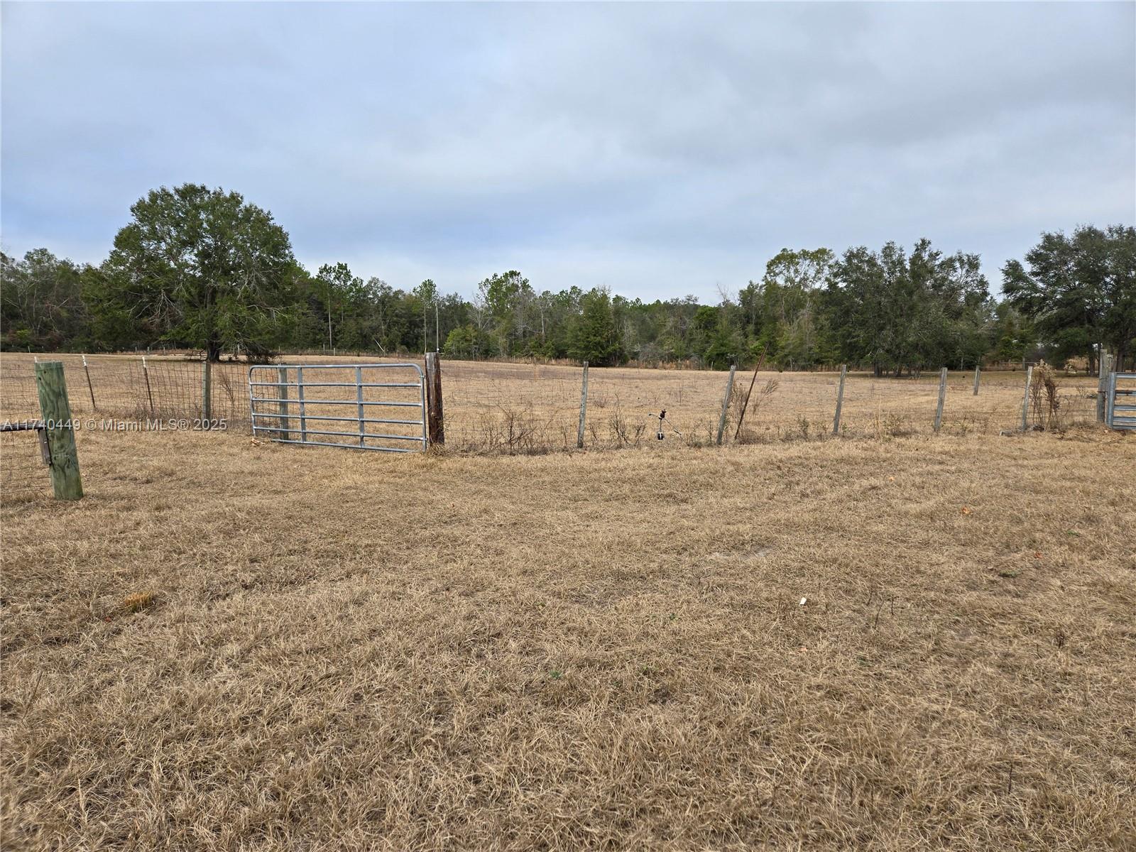 195 Southwest Turkey Glen Fort White, FL 32038 - Photo 3 of 25 a view of lake with outdoor space