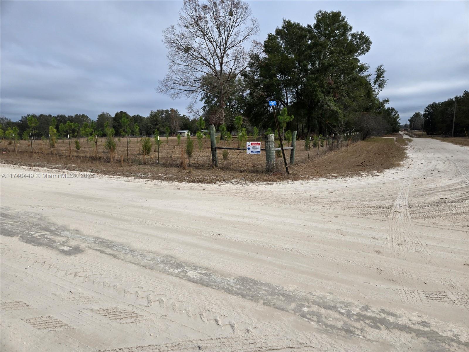 195 Southwest Turkey Glen Fort White, FL 32038 - Photo 4 of 25 a view of lake with trees