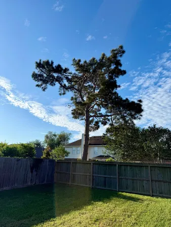 $275,000 | 17055 Kilwinning Drive, Houston, TX 77084