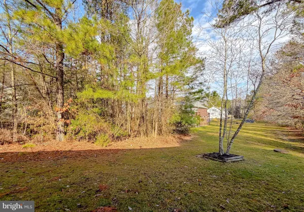 a view of yard with large trees