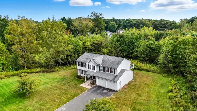 a view of a backyard with plants and lake