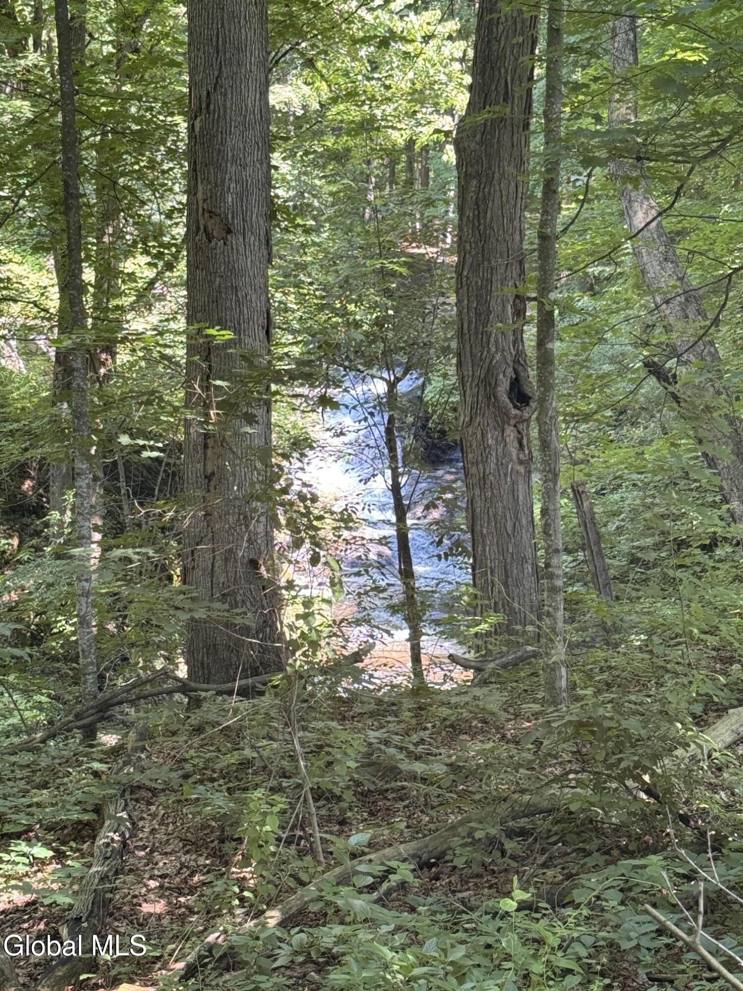 30 Gibson Road Hartford, NY 12838 - Photo 6 of 34 IMG_5222