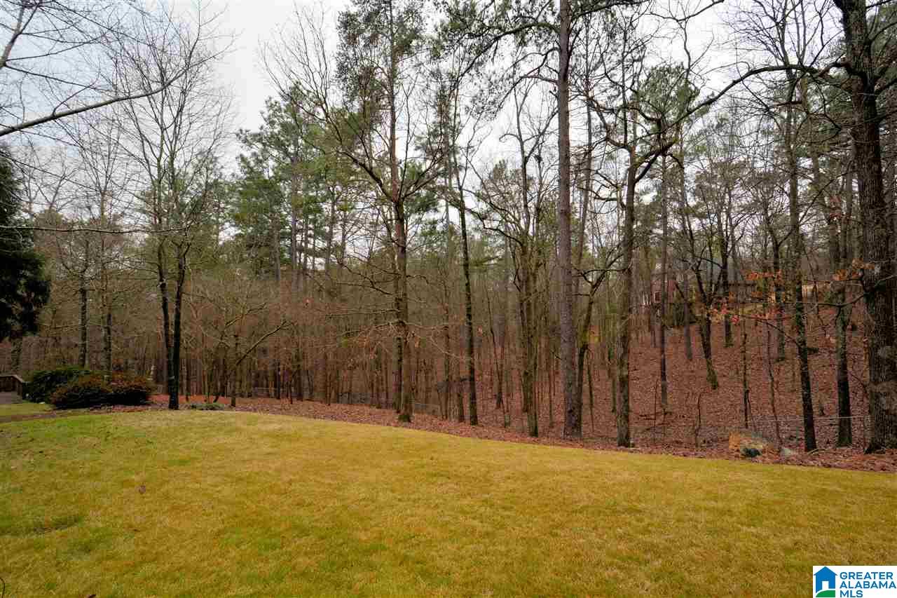 41 Foxfire Circle Pelham, AL 35124 - Photo 6 of 42