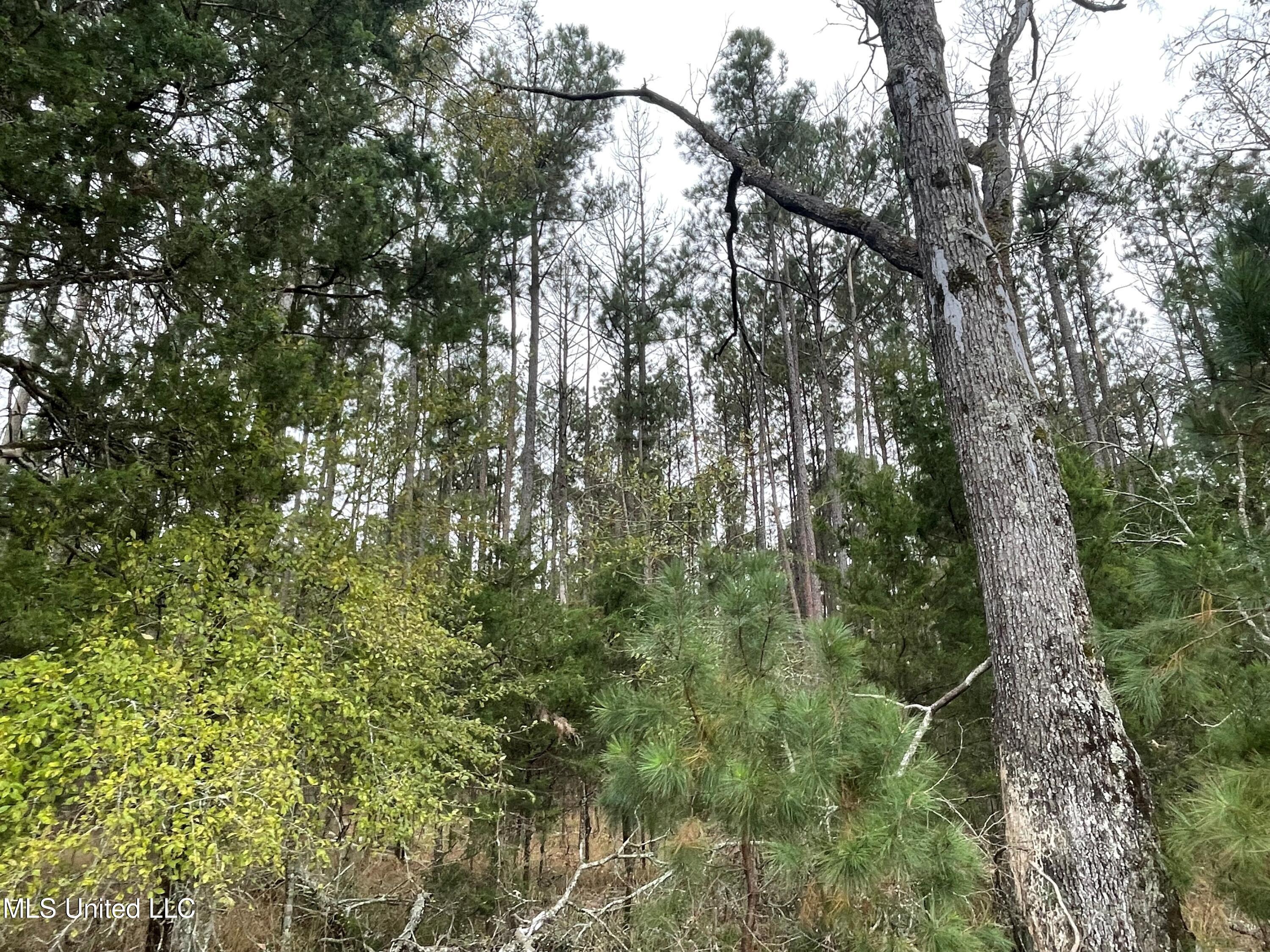 No Old Fannin Road Flowood, MS 39232 - Photo 5 of 7 PIC 4