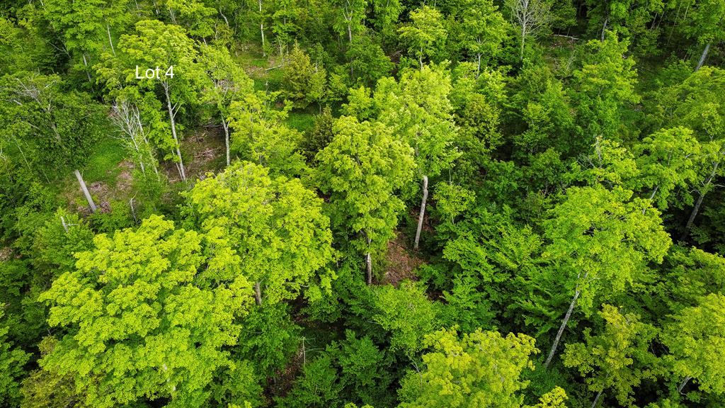 Tbd Lot4 Isle View Road Ellison Bay, WI 54210 - Photo 12 of 20