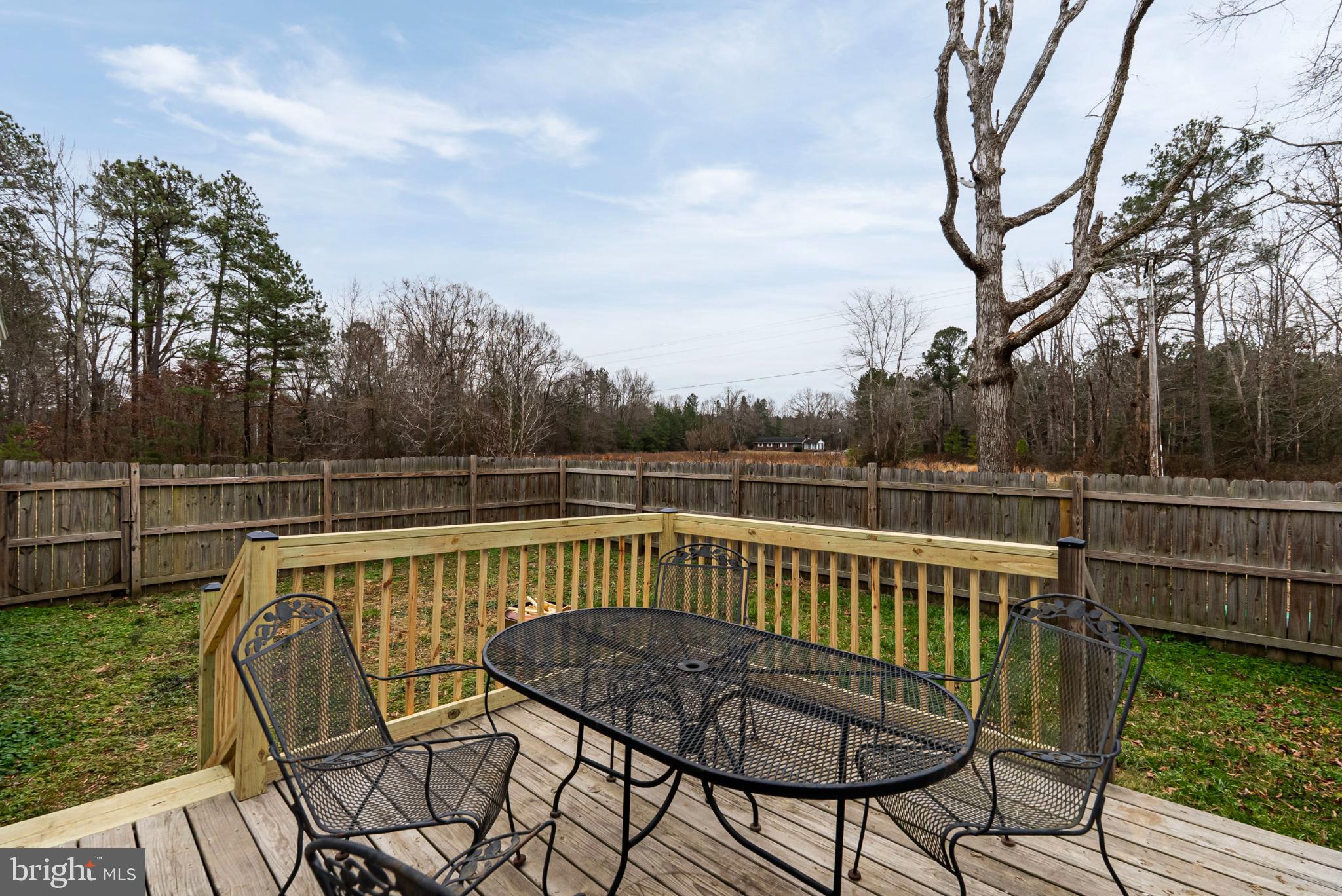 18290 Winston Loop Hanover, VA 23069 - Photo 19 of 23 Serene deck overlooking a tranquil backyard.