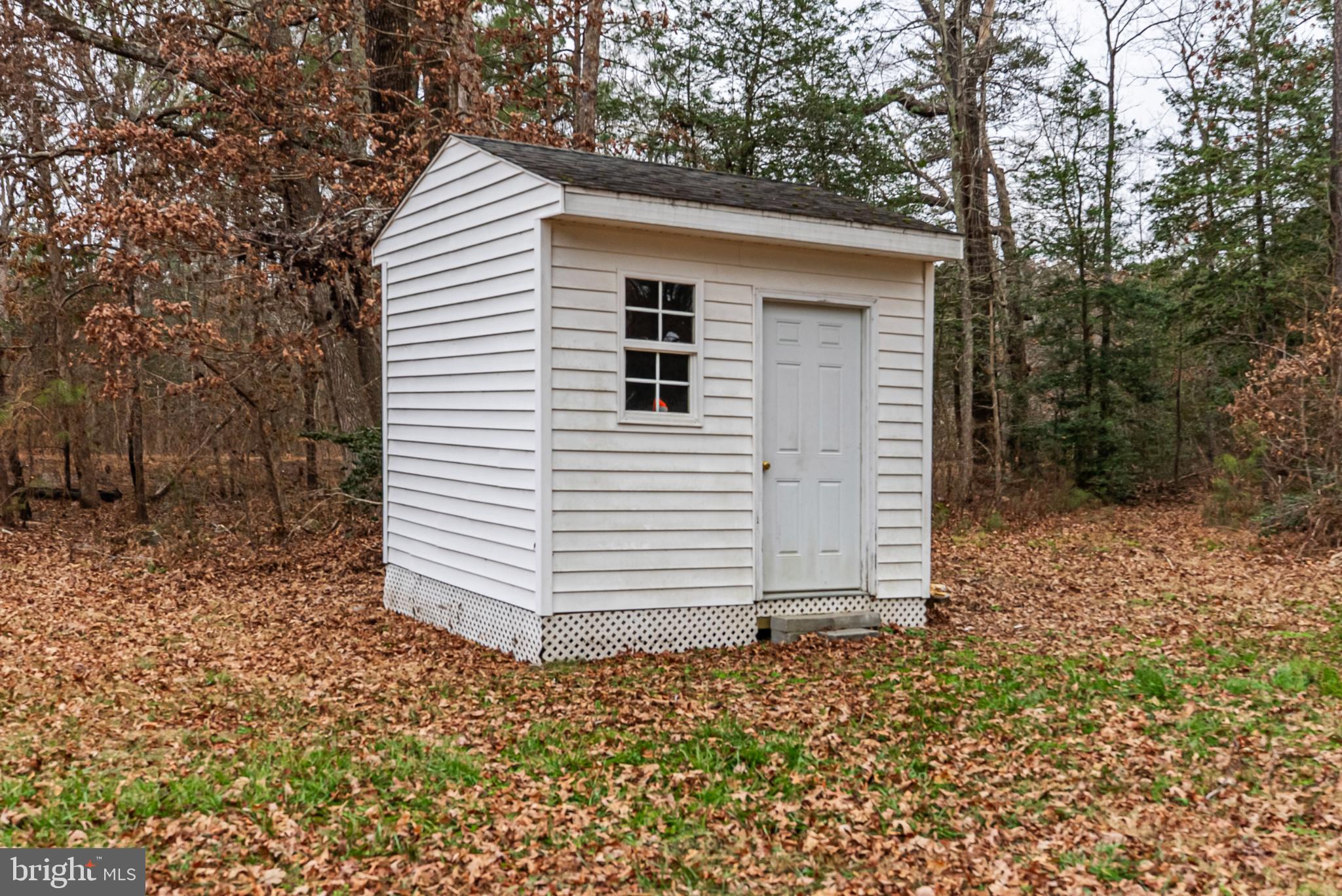 18290 Winston Loop Hanover, VA 23069 - Photo 22 of 23 Charming shed nestled in a serene woodland.
