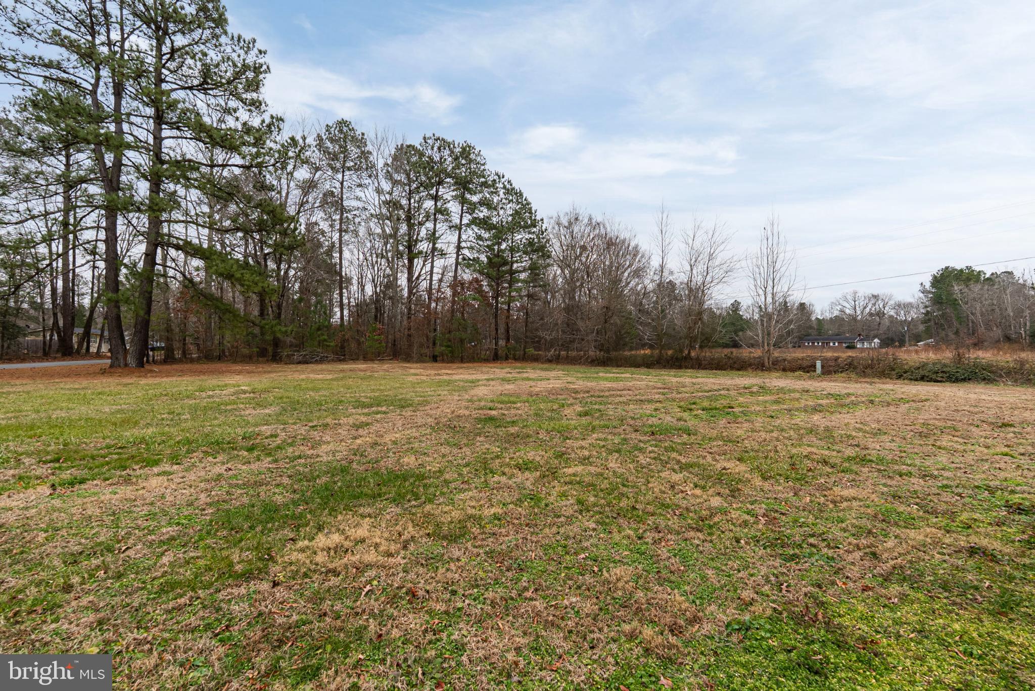 18290 Winston Loop Hanover, VA 23069 - Photo 23 of 23 Spacious lot embraced by nature's tranquility.