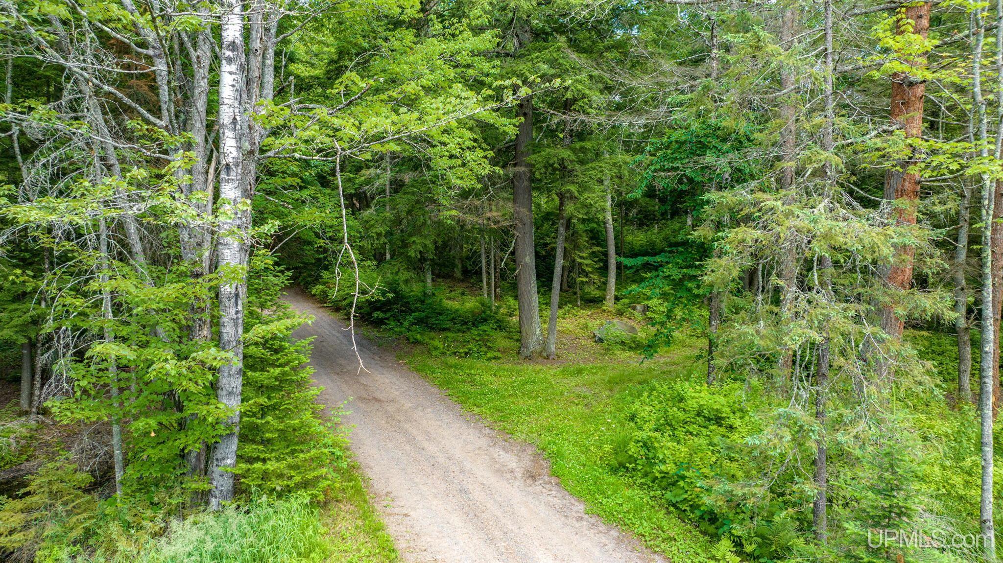 Tbd Tbd En-a-wen-da-win Road Watersmeet, MI 49969 - Photo 29 of 35