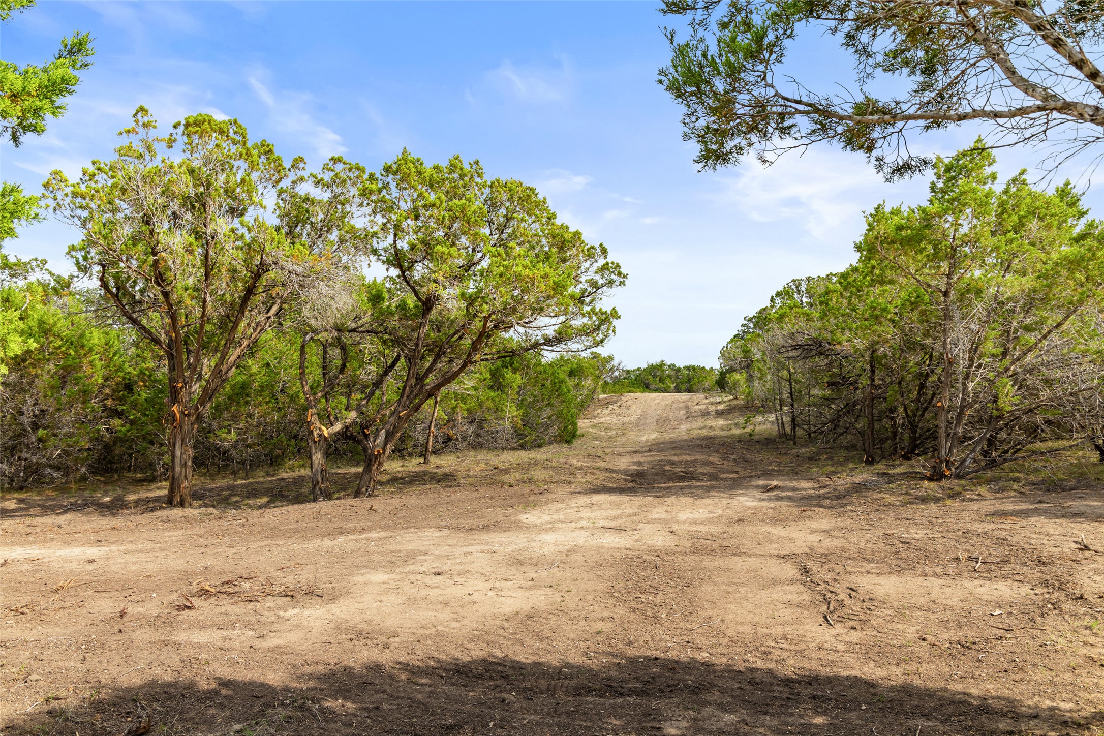 2966 Rm 165 Dripping Springs Dripping Springs, TX 78620 - Photo 18 of 23 Expansive natural landscape featuring a winding dirt path, abundant mature trees, and dense foliage