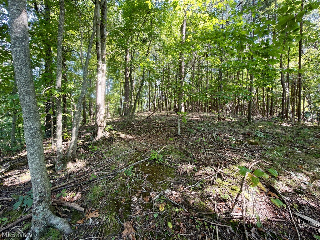 2074 Bogal Ridge Road Mineral Wells, WV 26150 - Photo 10 of 15 Gallery Image 10