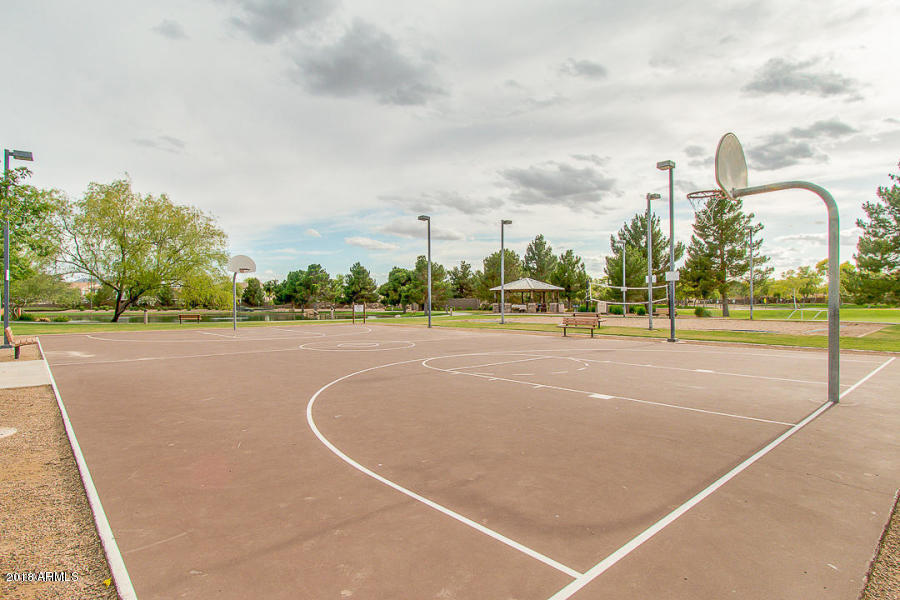 4765 South Rim Road Gilbert, AZ 85297 - Photo 57 of 59 PW basketball
